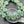 Czech Glass Flowers - Czech Glass Beads - Coin Beads - Aster Flower - 12mm - 15pcs (5893)