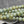 Melon Beads - Czech Glass Beads - Round Beads - Green Beads - Matte Beads - 8mm - 16pcs - (254)