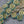 Flower Beads - Czech Glass Beads - Picasso Beads - Coin Beads - Rose Beads - 16mm - 6pcs (A663)