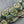Flower Beads - Czech Glass Beads - Picasso Beads - Coin Beads - Rose Beads - 16mm - 6pcs (A663)