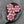 Picasso Beads - Czech Glass Beads - Flower Beads - Floral Beads - Wildflower Beads - Czech Glass Flowers - 14mm - 12pcs - (2322)