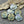 Flower Beads -Czech Glass Beads - Picasso Beads - Coin Beads - Rose Beads - 17mm - 6pcs (4622)